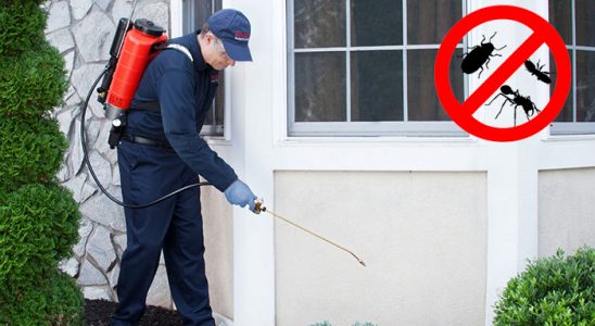 Gündoğmuş Kemirgen İlaçlama böcek ilaçlama ve haşere kontrolü — ilaclama-tr.com